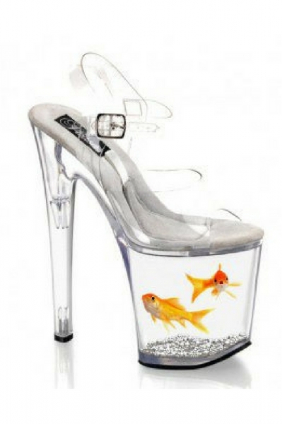 Aquarium shoes Image