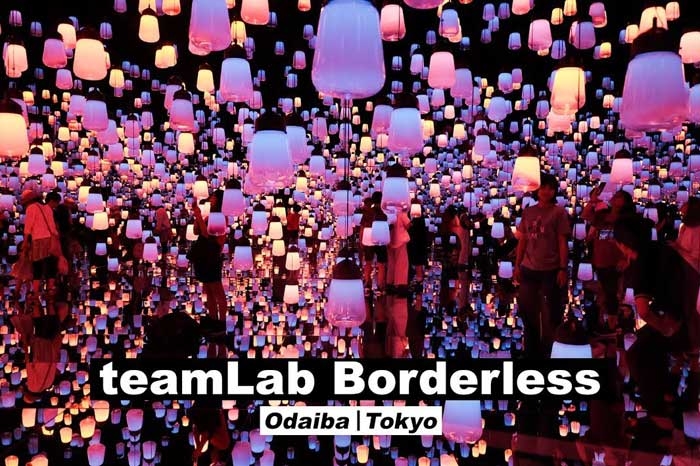 Tour with teamLab & Lunch in Tokyo Image