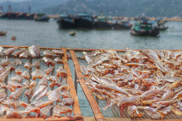 gafencu magazine hong kong travel outyling island Island Getaway A quick sight-seeing guide to Cheung Chau dried seafood Image