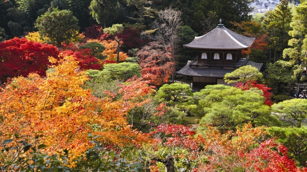 Falling into Place: Gafencu’s three-day guide to seeing Kyoto in autumn