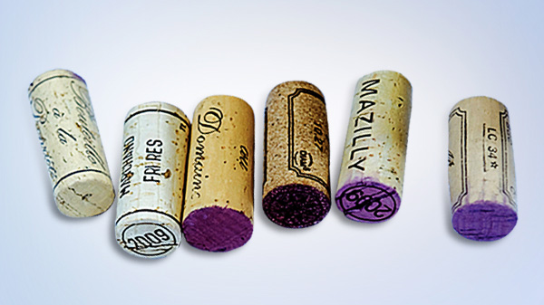 Burgundy En Primeur: Are wine investments a good idea?