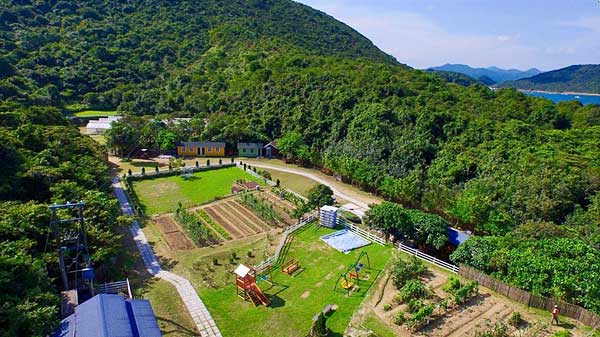 8 Hong Kong farms to check out for all your green needs