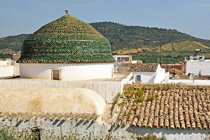 Unusual winemaking areas - A Tunisian town with vineyards in the background