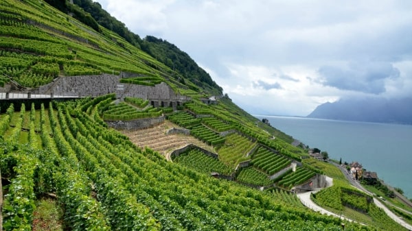 Unusual winemaking areas