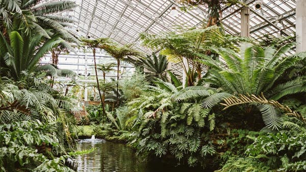 Botanic Bests: 3 botanical gardens in Asia to visit this summer