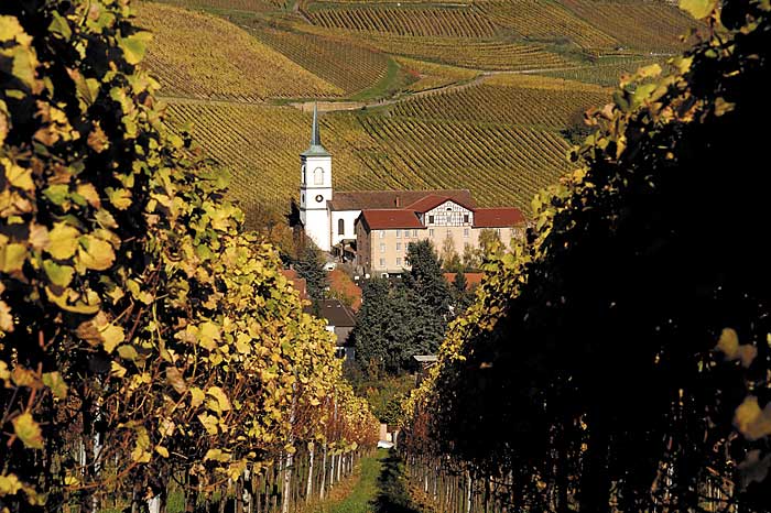 Alsace wines 3