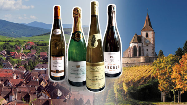 Alsace wines