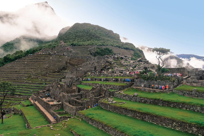 Tourism Tonic - Macchu Pichu, Peru