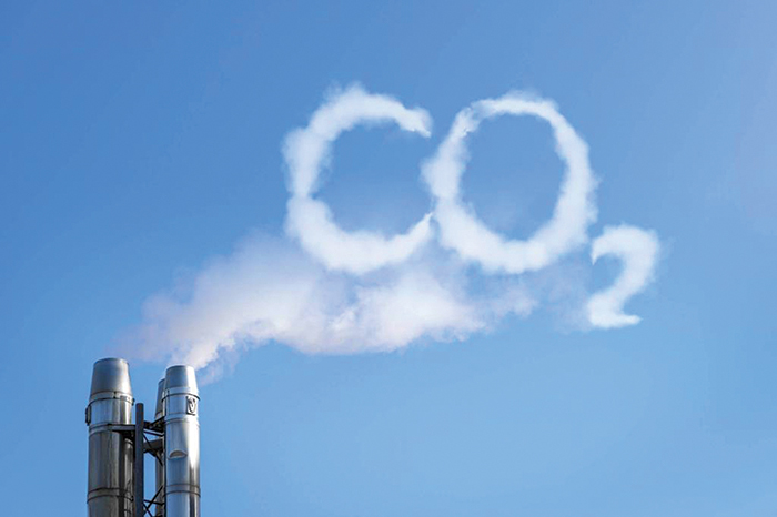Bright Spots Moments of positivity in 2020 carbon dioxide emissions fall