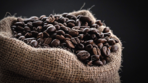 Ruling the Roast: Charting the rise of coffee culture around the world