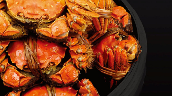 Gafencu's guide to buying hairy Crabs in hong kong