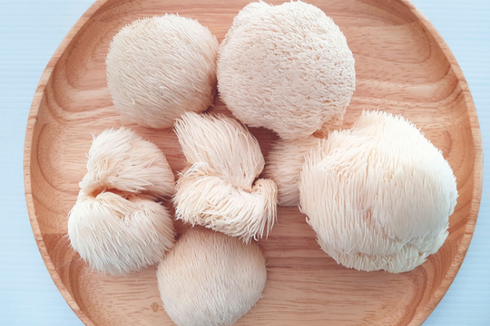Lion's mane Adaptogen What you need to know about these herbal mushroom supplements health wellbeing wellness gafencu