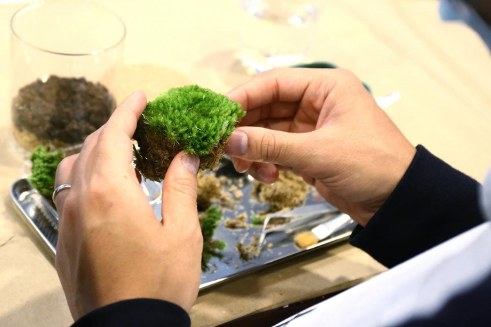 What’s On Things to do this May in Hong Kong gafencu bonart terrarium workshop