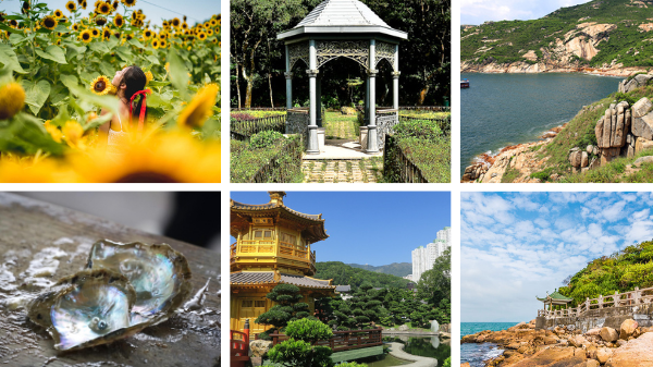 Hong Kong reopens to non-residents, top attractions to visit