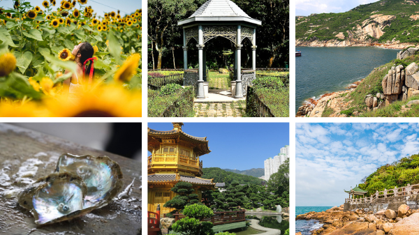 gafencu-unique-places-to-visit-things-to-do-hong-kong