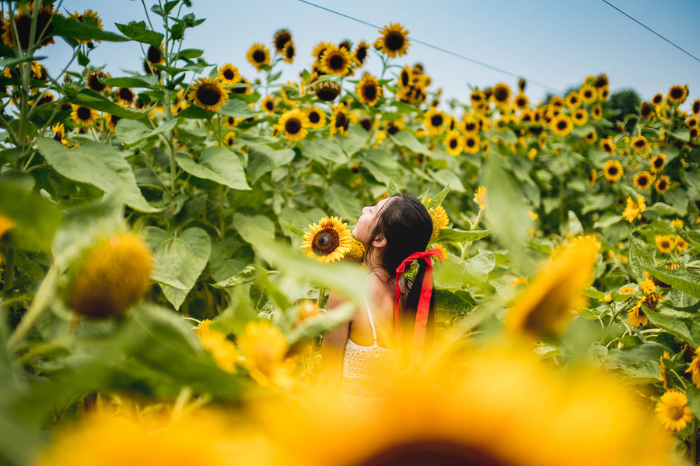 gafencu-unique-places-to-visit-things-to-do-san-tin-sunflower-farm-yeun-long