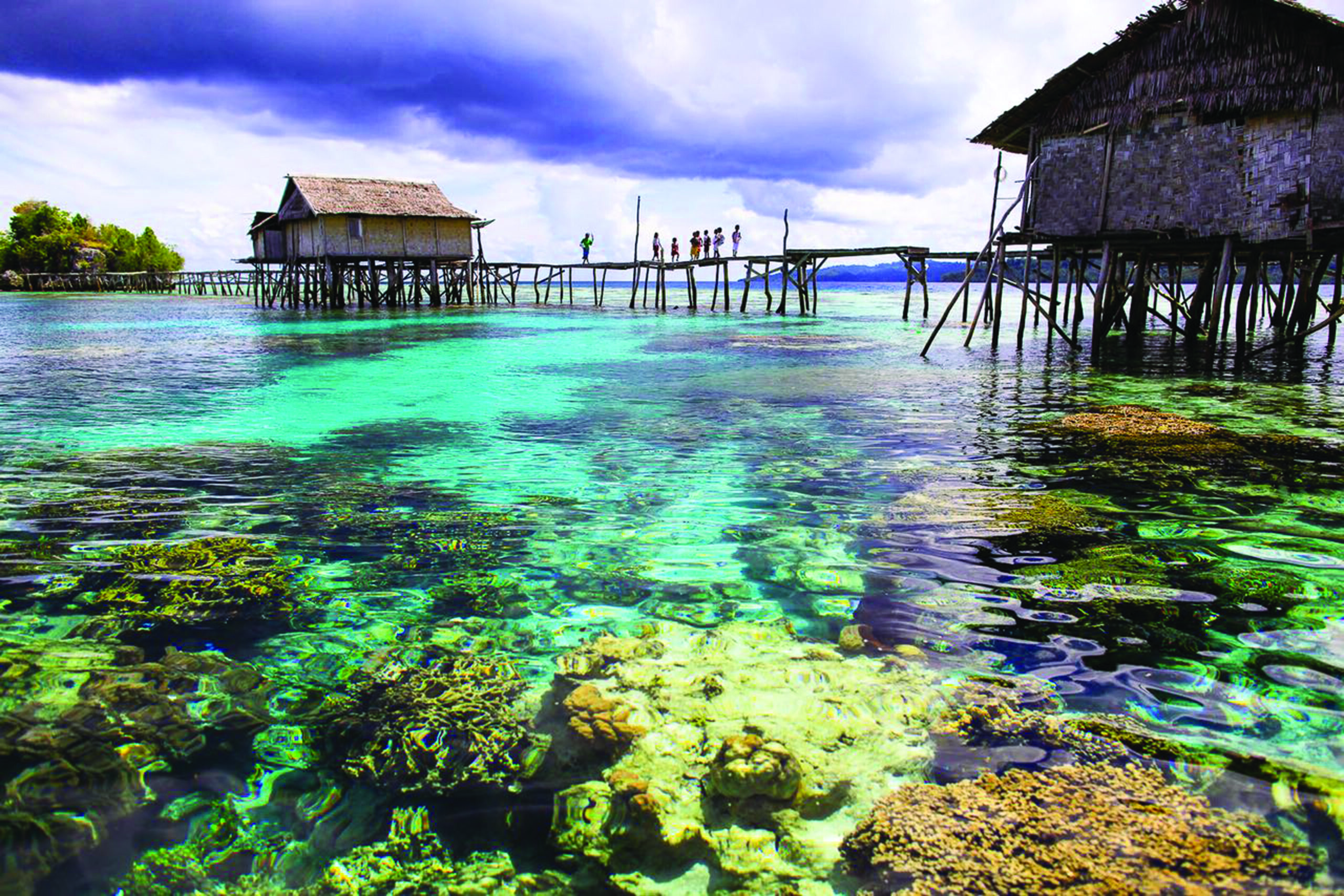 The Togean Islands- home to a host of exotic sea creatures