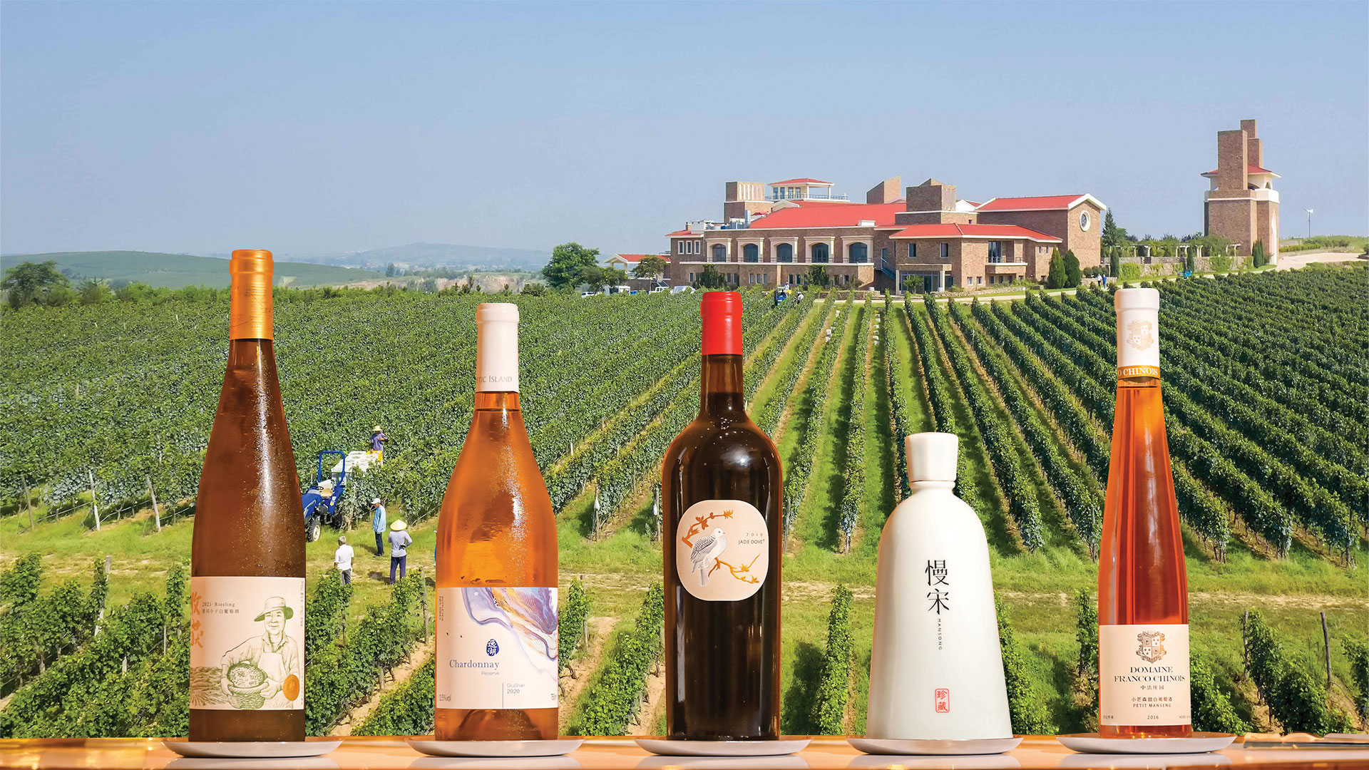 Great Wine of China: Chinese producers are winning over the world with their vibrant pours