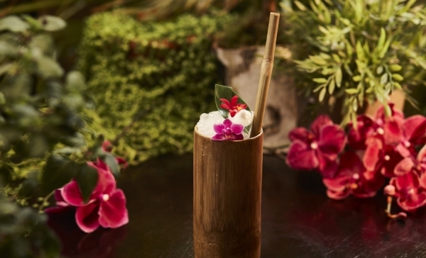 Tanqueray serves up personalised botanical cocktails